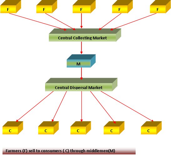 Specialised Middlemen