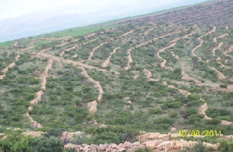 Natural resource Conservation Activity