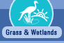 Link To Grass & Wetlands