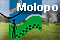 Molopo Nature Reserve - Click to view specials