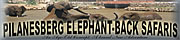 Pilanesberg Elephant-Back Safaris - Click to view Wallows special