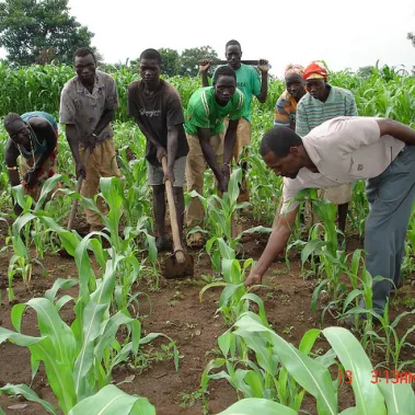 People planting crops